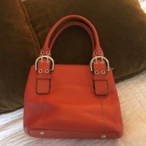 Tignanello Leather purse